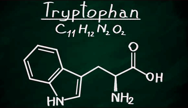 Que es el colágeno y el triptófano